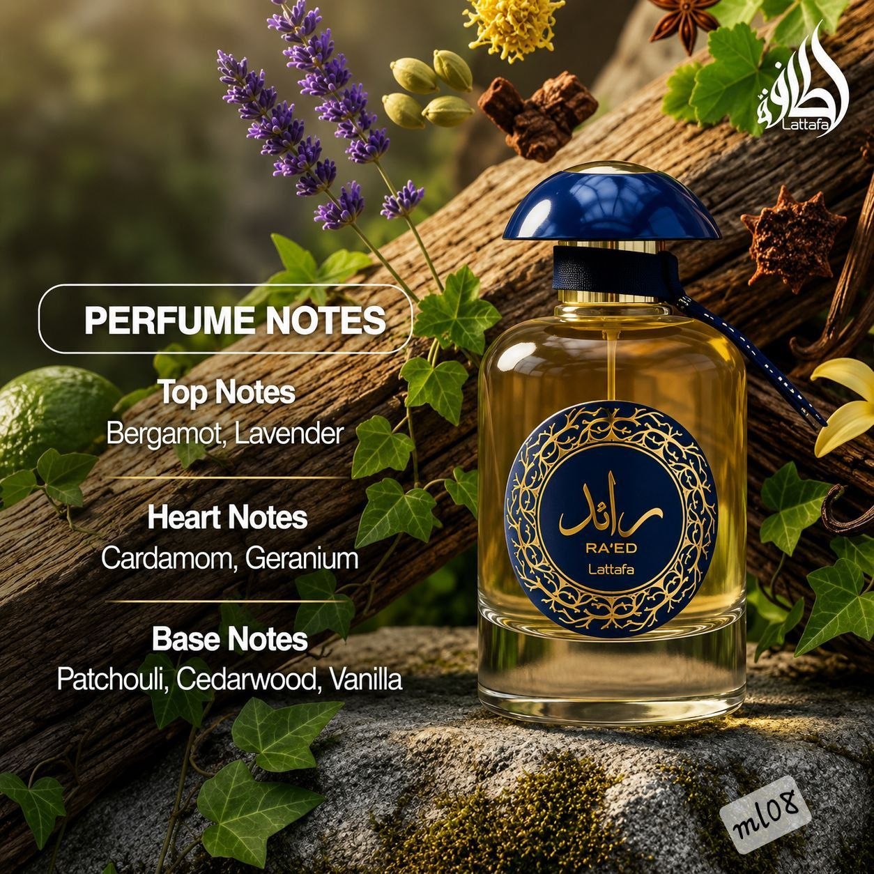 Lattafa Ra'ed Luxe EDP 100ml perfume notes - bergamot lavender cardamom geranium patchouli cedarwood vanilla